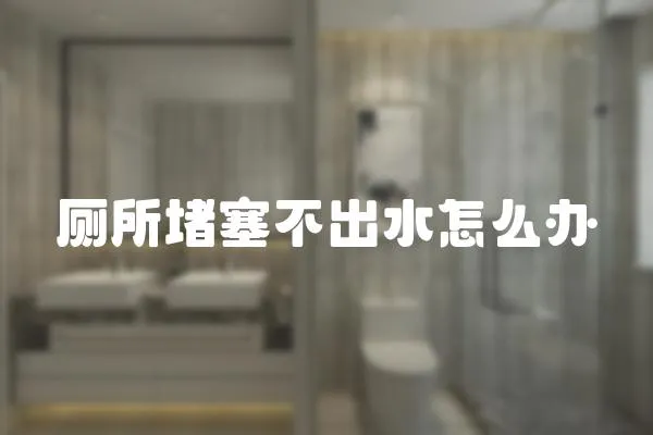 廁所堵塞不出水怎么辦