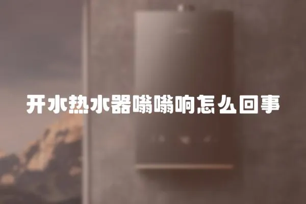 開水熱水器嗡嗡響怎么回事