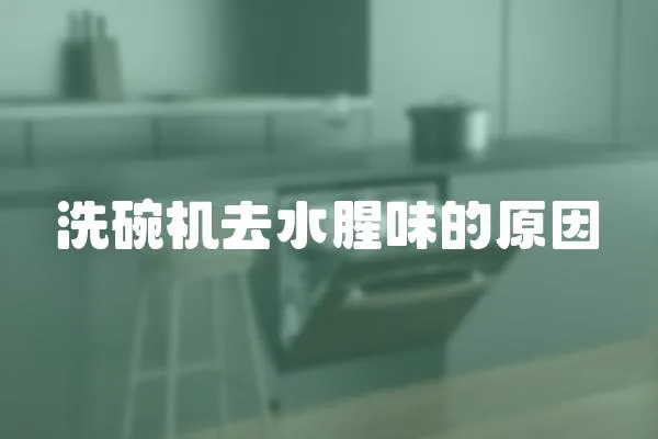 洗碗機去水腥味的原因