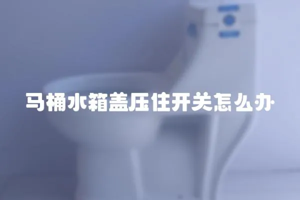 馬桶水箱蓋壓住開關怎么辦