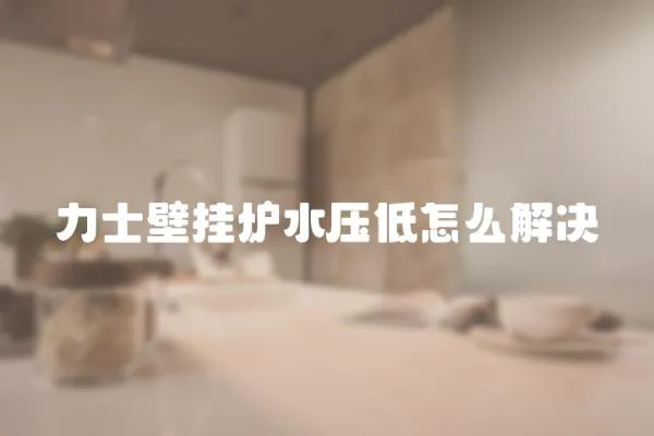 力士壁掛爐水壓低怎么解決