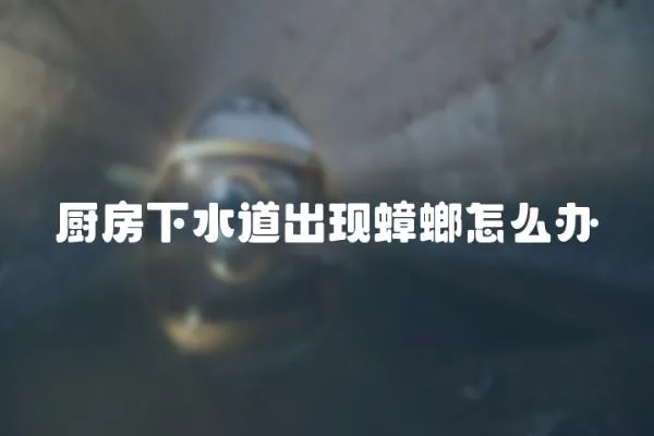 廚房下水道出現蟑螂怎么辦