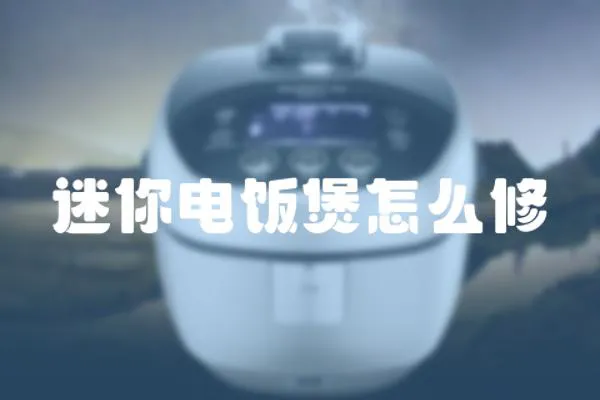迷你電飯煲怎么修
