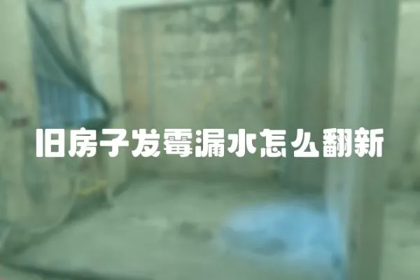 舊房子發(fā)霉漏水怎么翻新