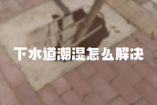 下水道潮濕怎么解決