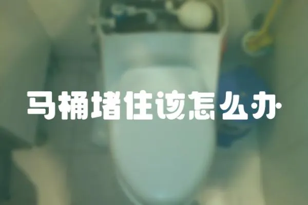 馬桶堵住該怎么辦