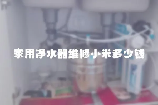 家用凈水器維修小米多少錢