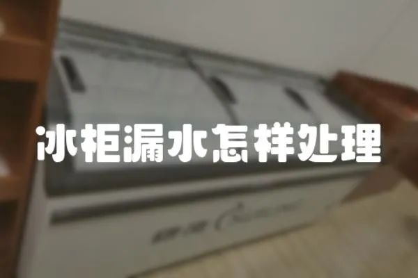 冰柜漏水怎樣處理