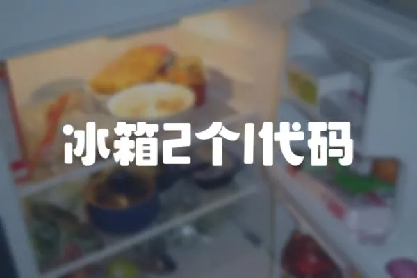 冰箱2個l代碼