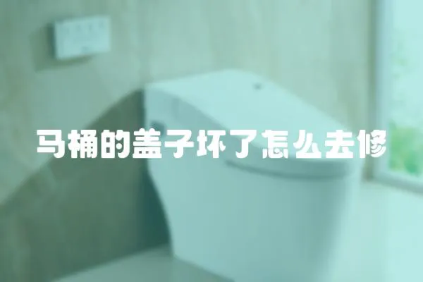 馬桶的蓋子壞了怎么去修