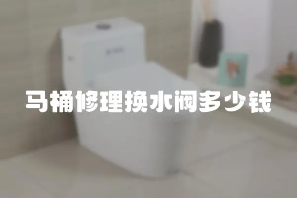 馬桶修理換水閥多少錢