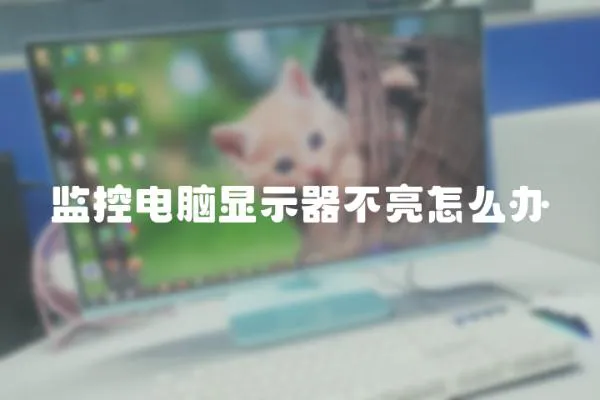 監控電腦顯示器不亮怎么辦