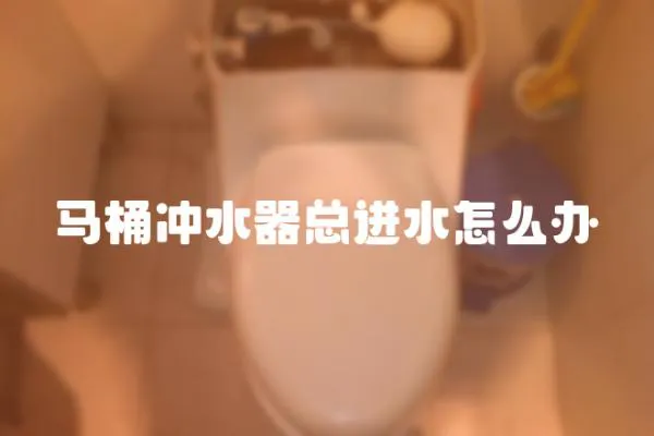 馬桶沖水器總進(jìn)水怎么辦