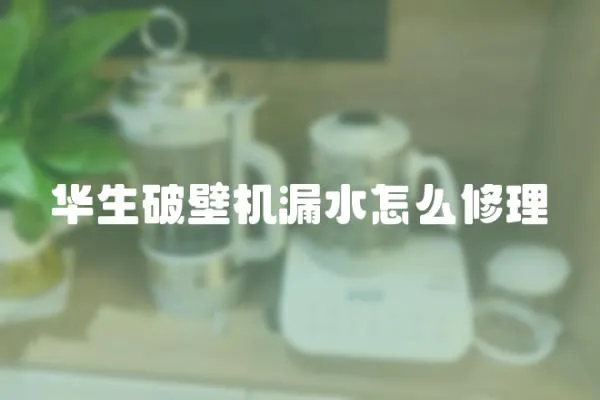 華生破壁機漏水怎么修理