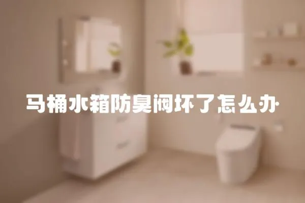 馬桶水箱防臭閥壞了怎么辦