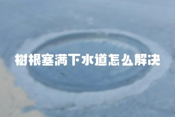 樹根塞滿下水道怎么解決