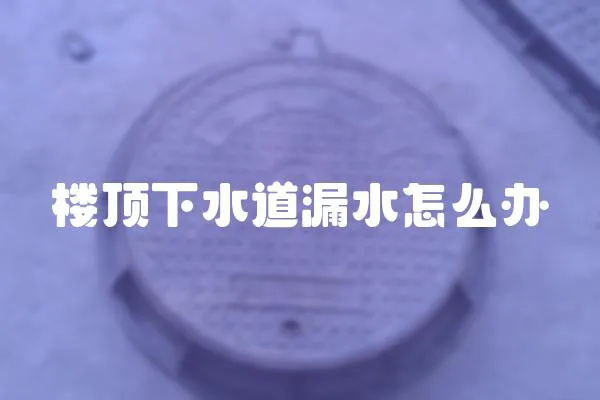 樓頂下水道漏水怎么辦