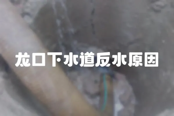 龍口下水道反水原因