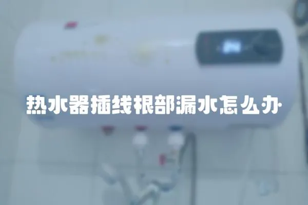 熱水器插線根部漏水怎么辦