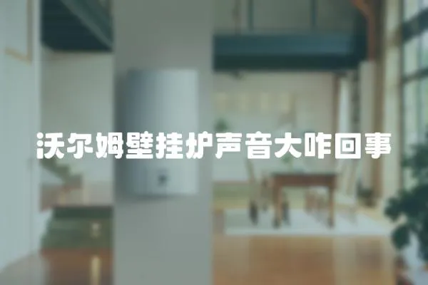 沃爾姆壁掛爐聲音大咋回事