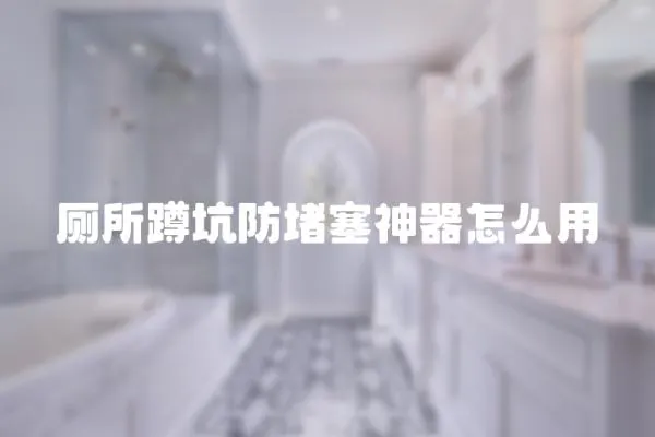 廁所蹲坑防堵塞神器怎么用