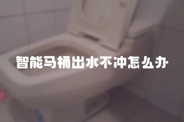 智能馬桶出水不沖怎么辦