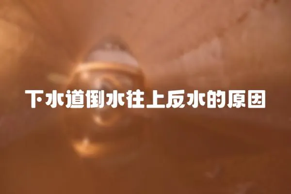 下水道倒水往上反水的原因
