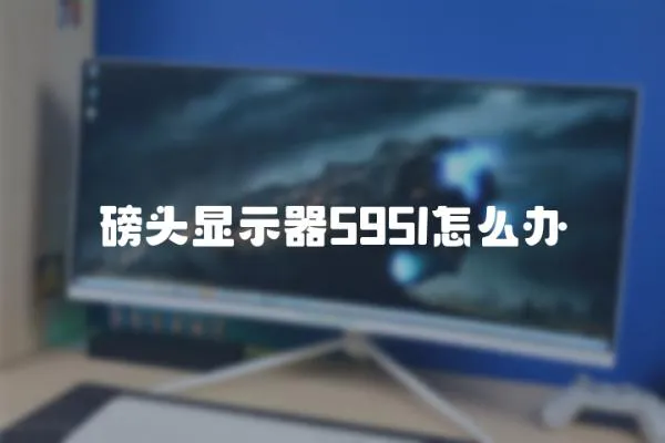 磅頭顯示器595l怎么辦