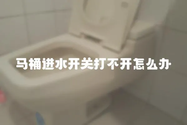 馬桶進(jìn)水開關(guān)打不開怎么辦