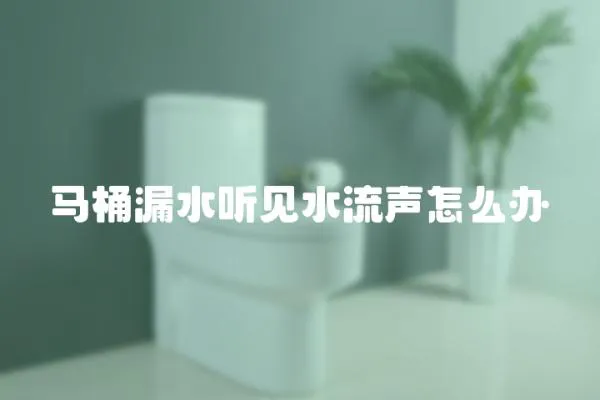 馬桶漏水聽見水流聲怎么辦