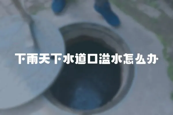 下雨天下水道口溢水怎么辦