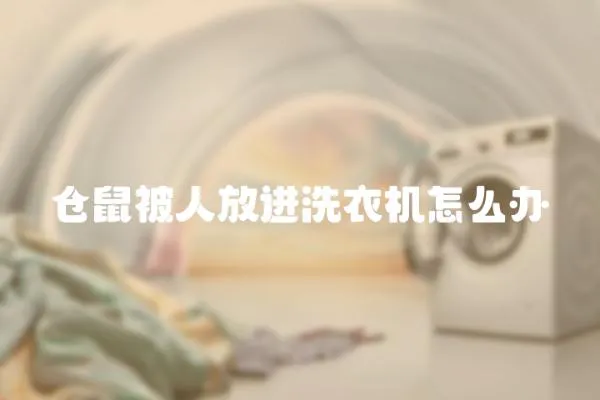 倉鼠被人放進洗衣機怎么辦