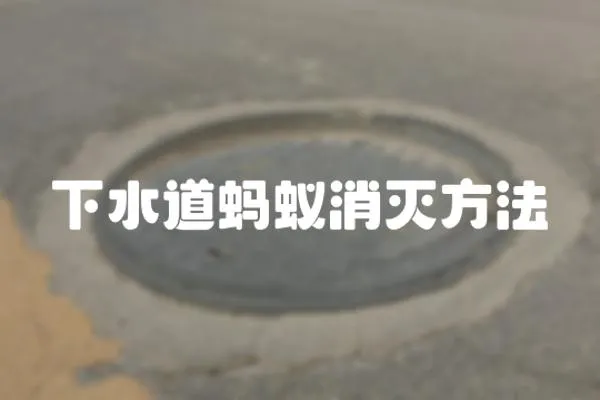 下水道螞蟻消滅方法