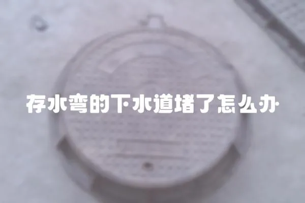 存水彎的下水道堵了怎么辦
