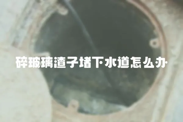 碎玻璃渣子堵下水道怎么辦