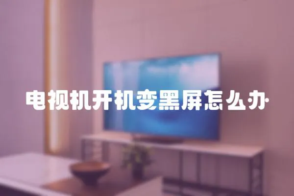 電視機開機變黑屏怎么辦