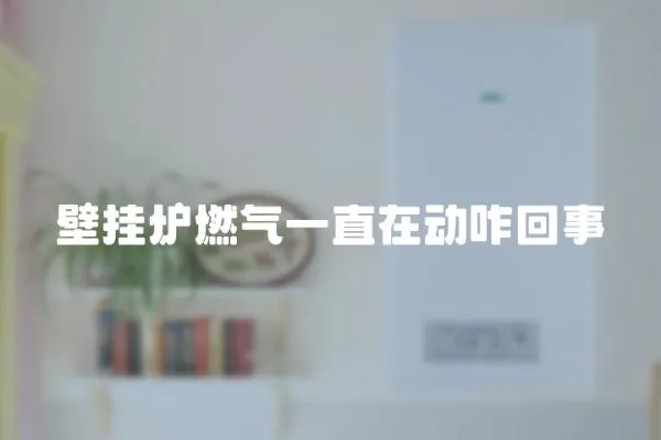 壁掛爐燃?xì)庖恢痹趧诱厥?></a></div>
                    <div   id=