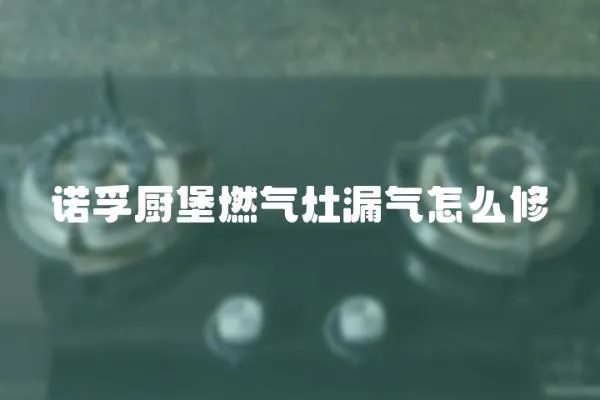 諾孚廚堡燃氣灶漏氣怎么修