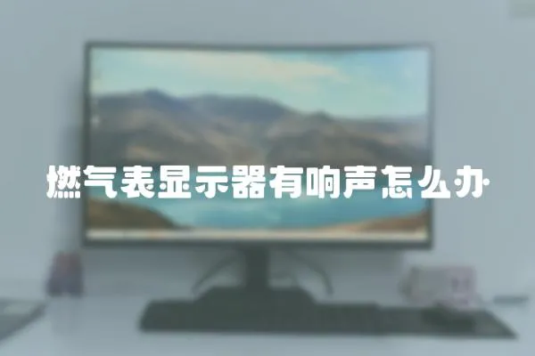 燃氣表顯示器有響聲怎么辦