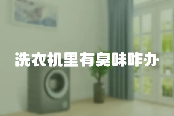洗衣機里有臭味咋辦