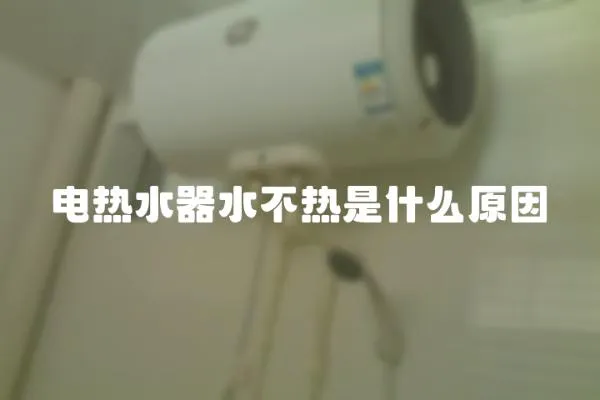 電熱水器水不熱是什么原因