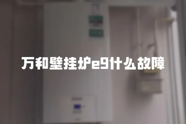 萬和壁掛爐e9什么故障