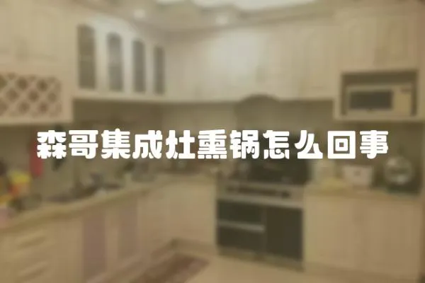 森哥集成灶熏鍋怎么回事