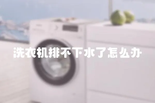 洗衣機排不下水了怎么辦