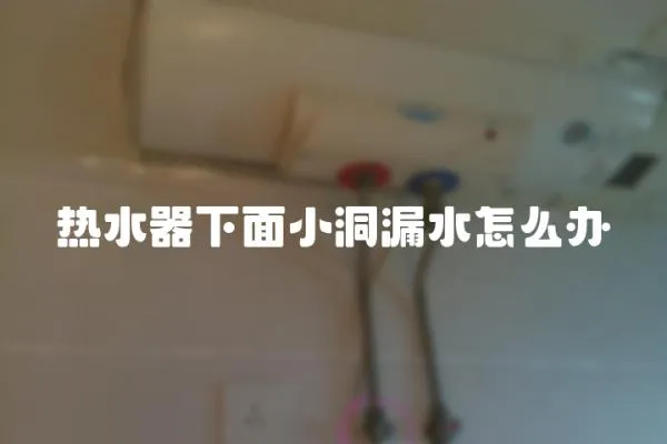 熱水器下面小洞漏水怎么辦