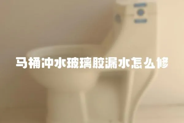馬桶沖水玻璃膠漏水怎么修
