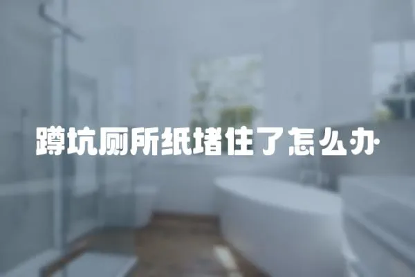 蹲坑廁所紙堵住了怎么辦
