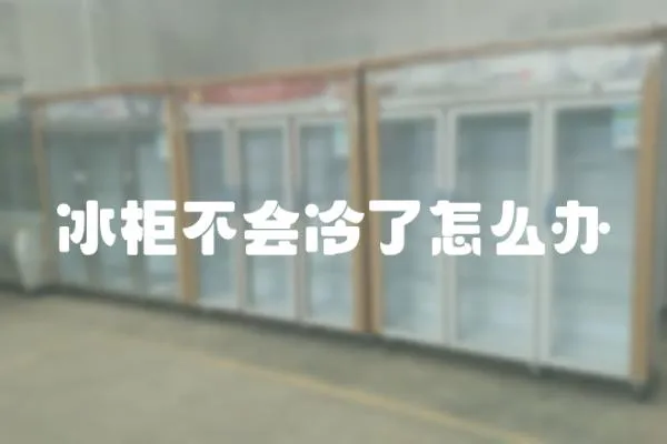 冰柜不會冷了怎么辦
