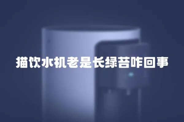 貓飲水機老是長綠苔咋回事