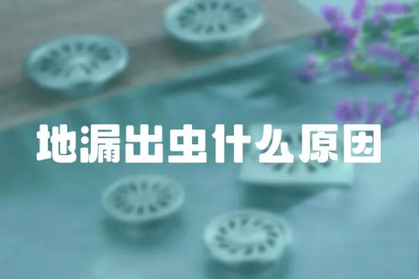 地漏出蟲什么原因